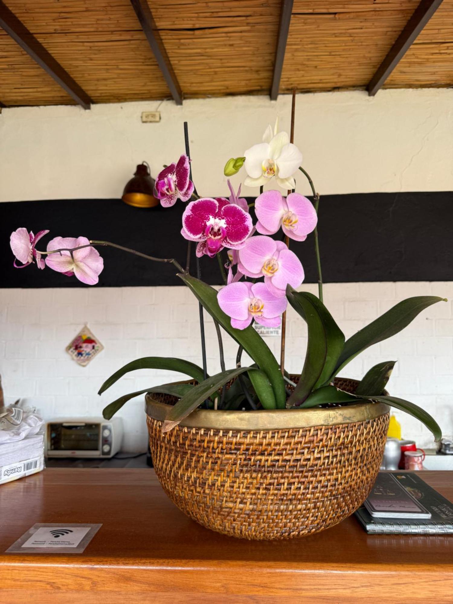 Pancha Mama Hotel Boutique Villa de Leyva Εξωτερικό φωτογραφία